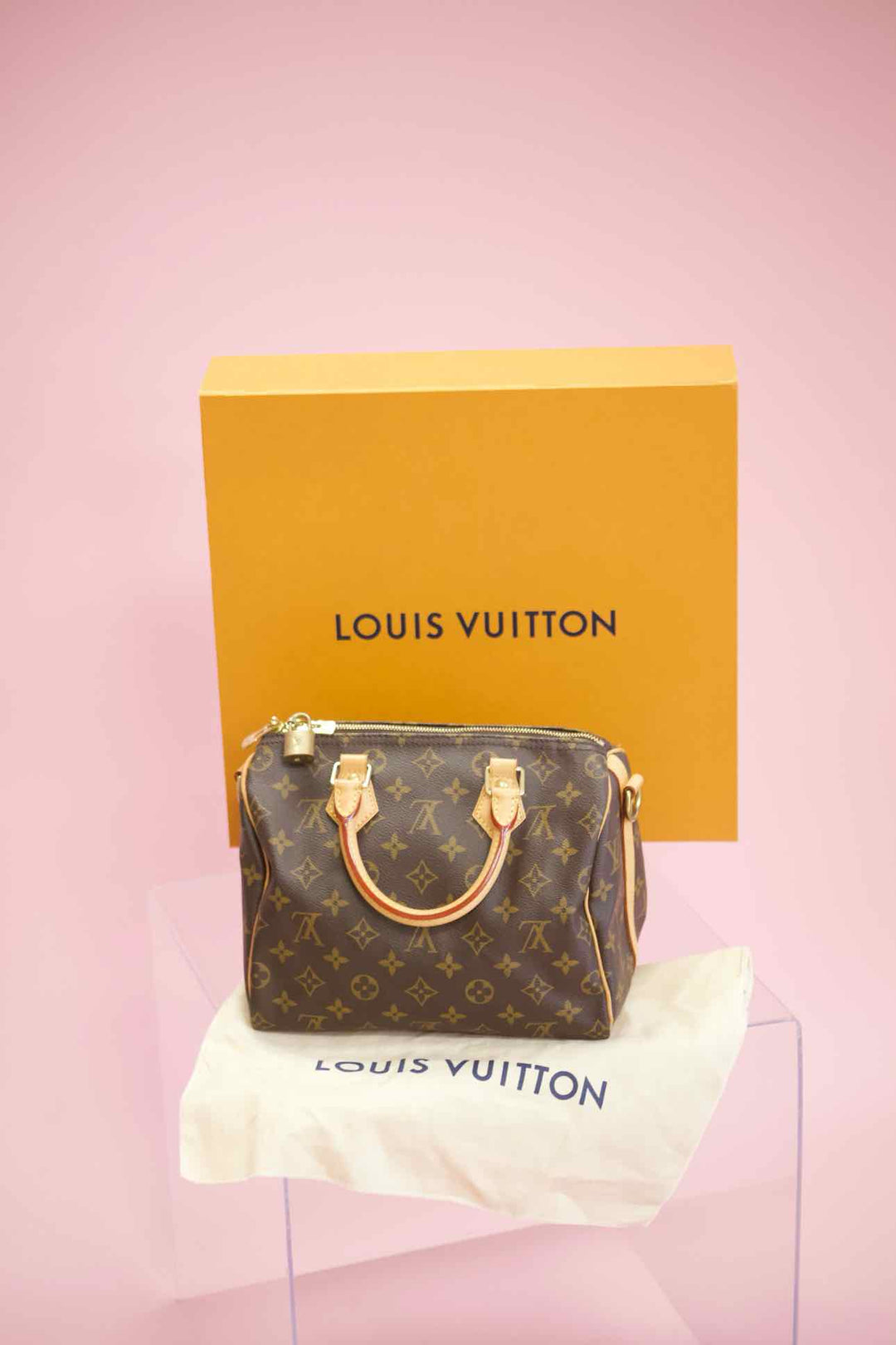 Louis Vuitton Brown Purse
