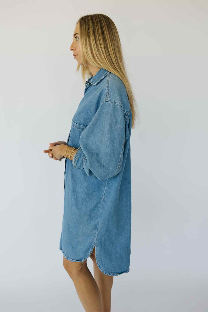 &Denim Size S Dress
