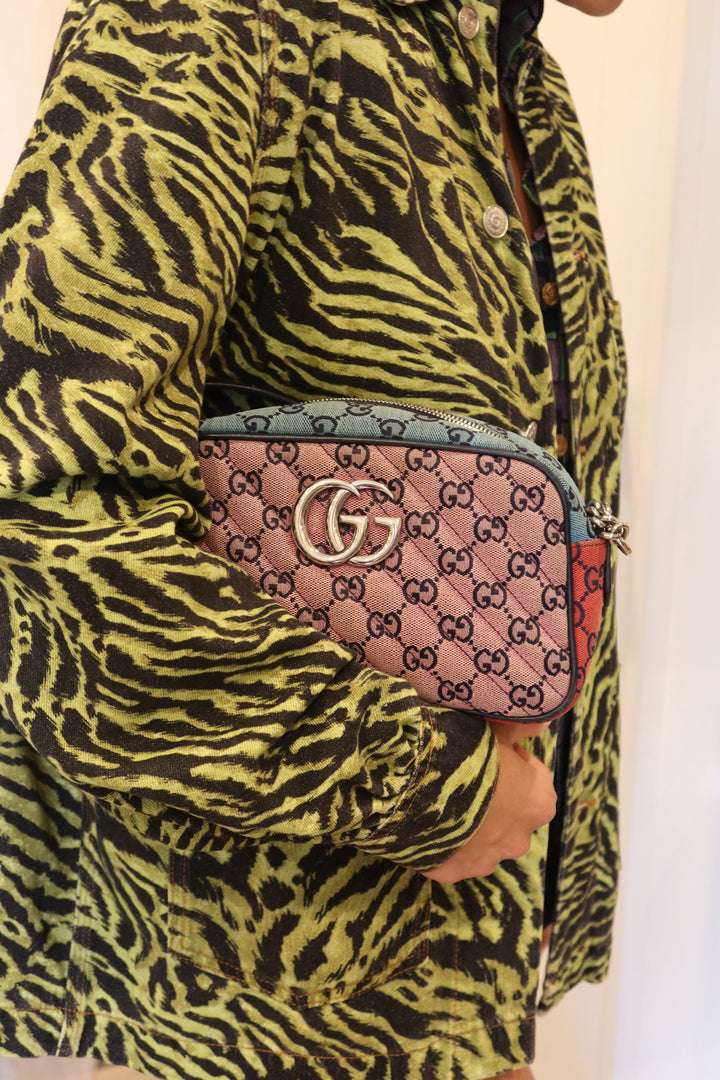 Gucci Multi-Color Purse