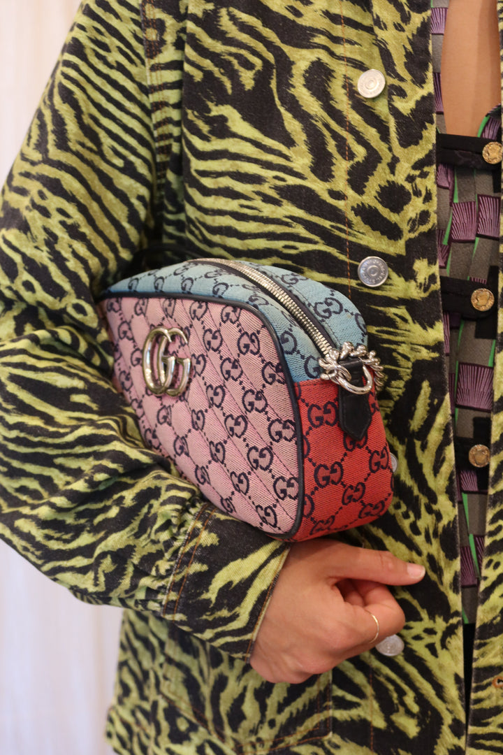 Gucci Multi-Color Purse