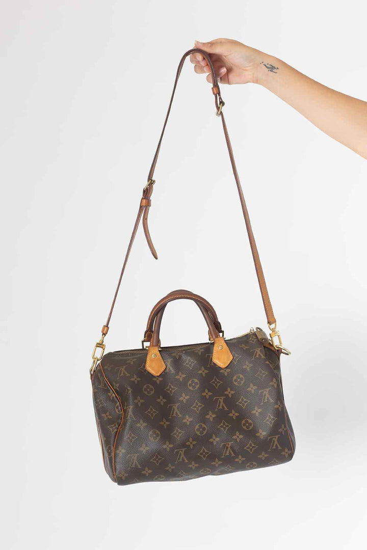 Louis Vuitton Brown Purse