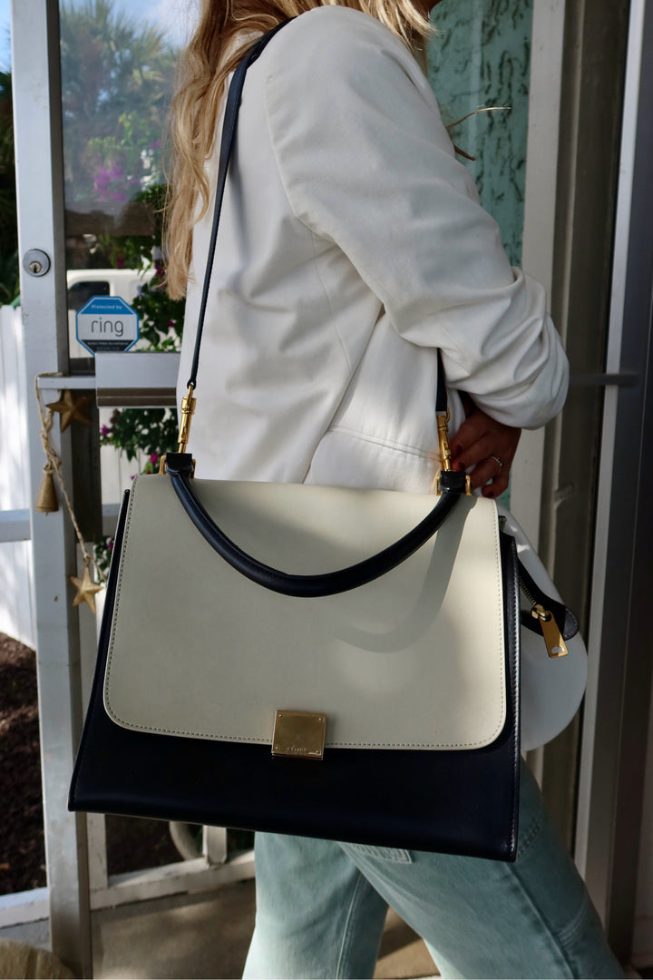 Celine Multi-Color Purse