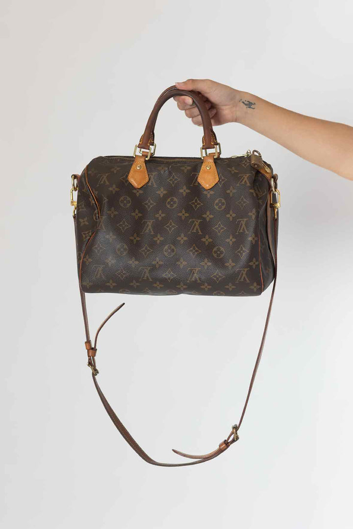 Louis Vuitton Brown Purse