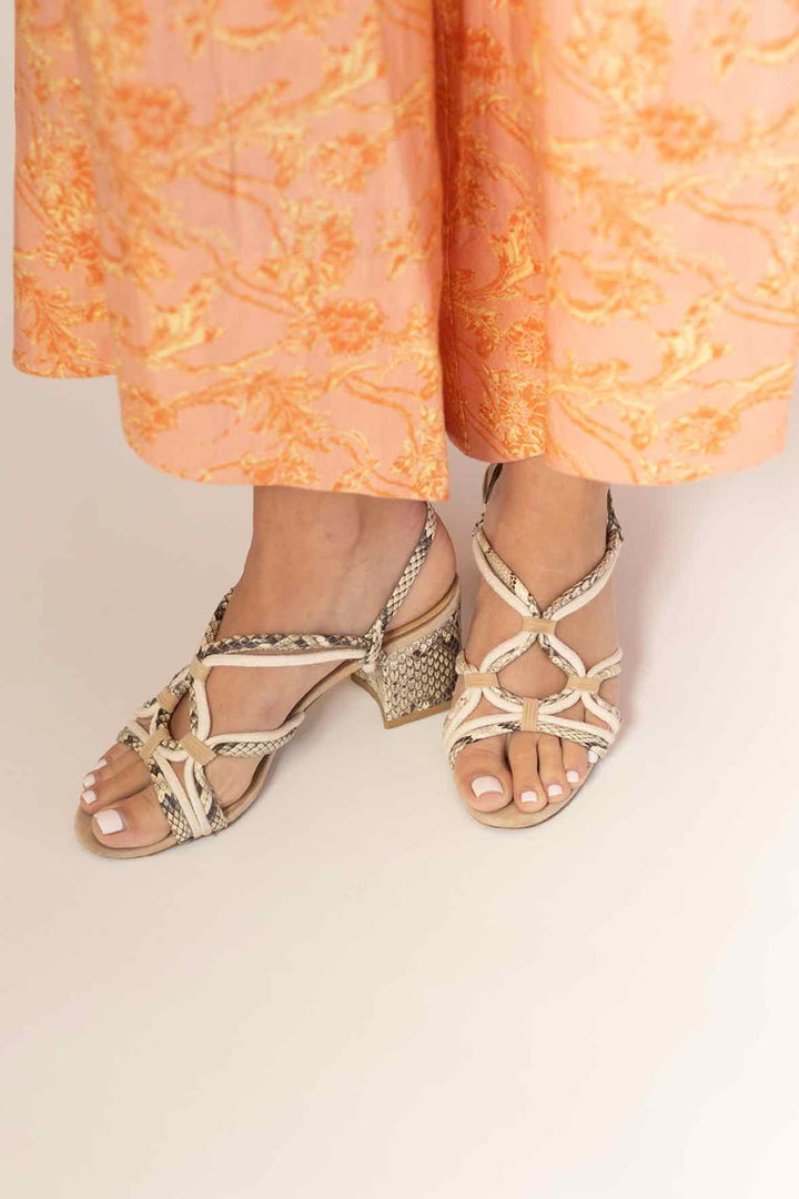 Birman Size 39 Snake Shoes