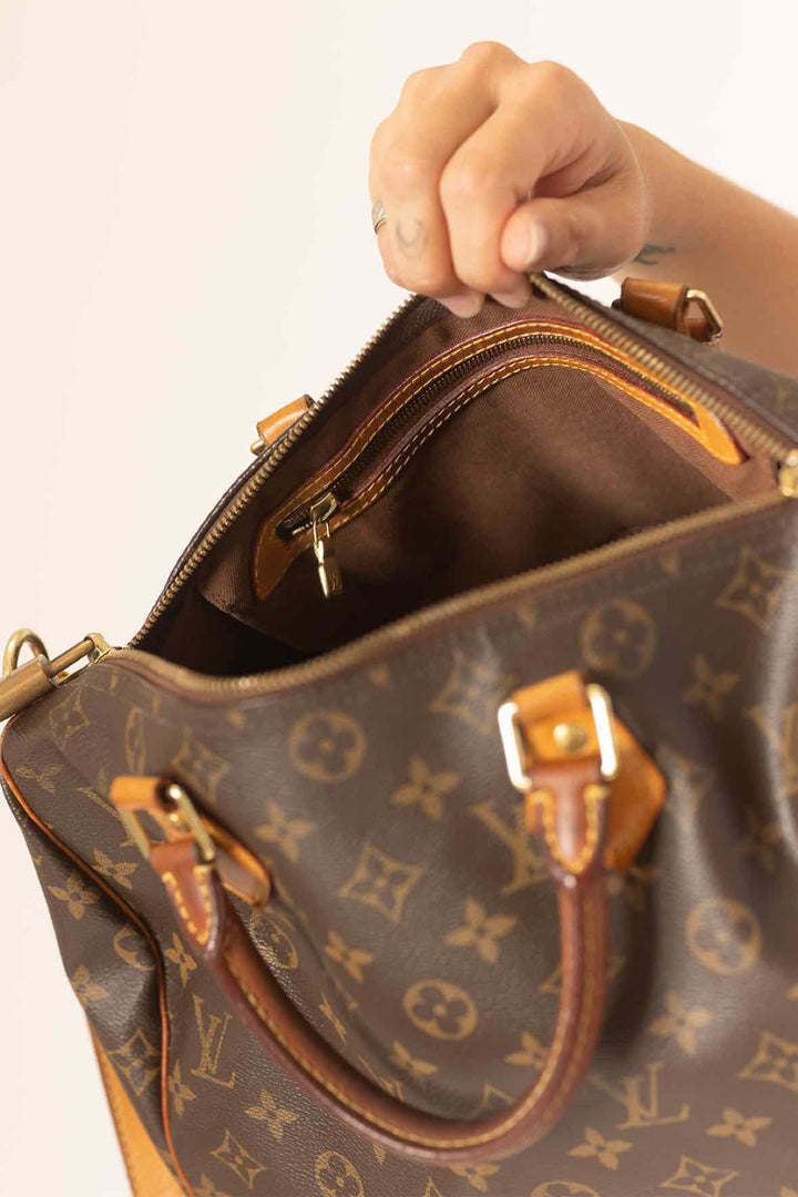 Louis Vuitton Brown Purse