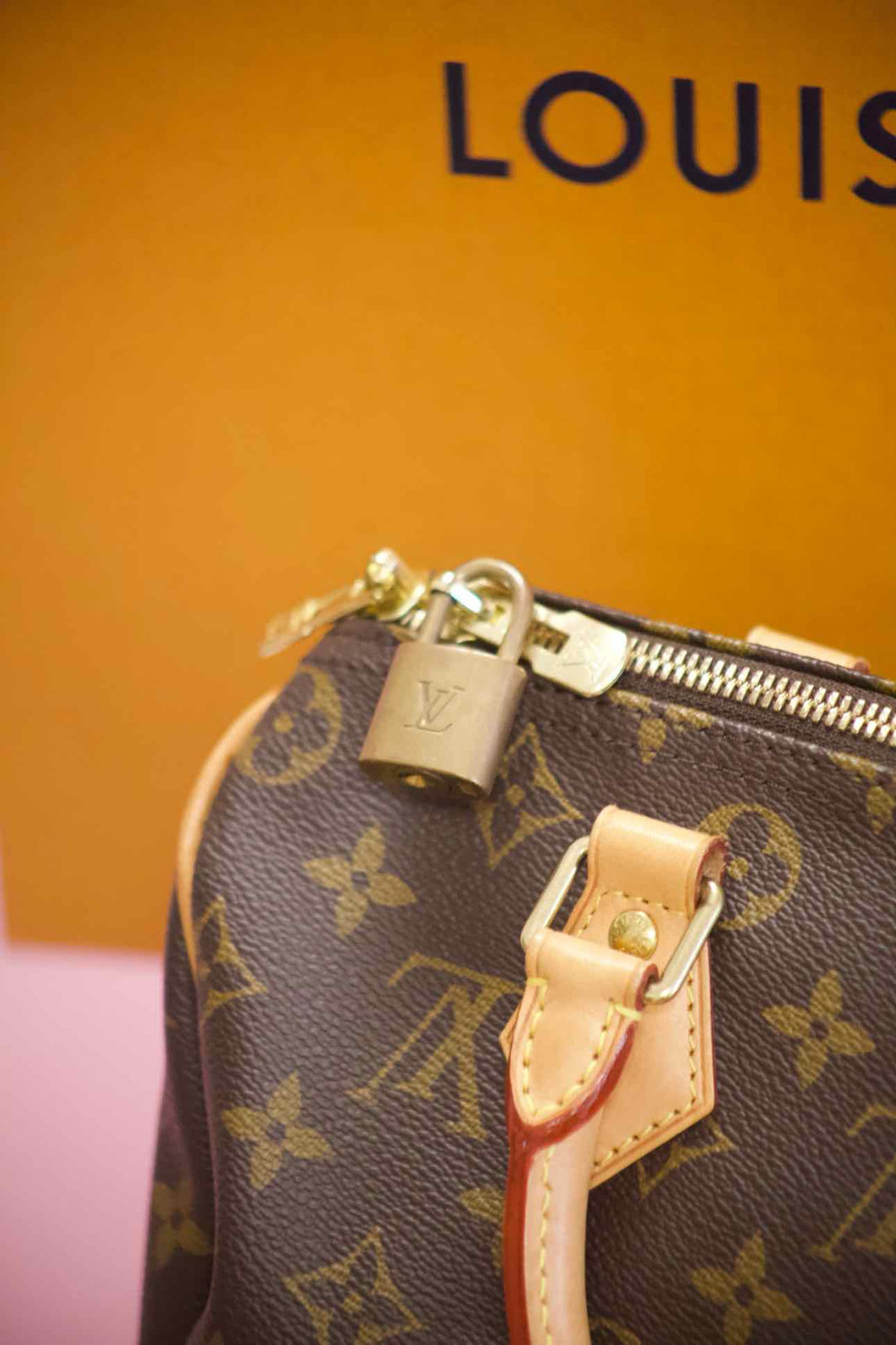 Louis Vuitton Brown Purse
