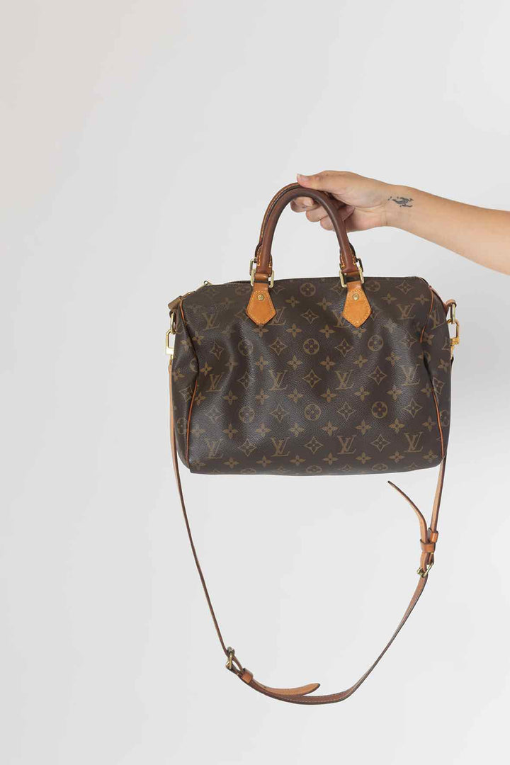 Louis Vuitton Brown Purse