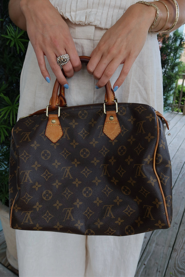 Louis Vuitton Brown Purse